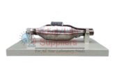 Three-Way Purifier Anatomical Model